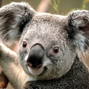 Meet your Posher, Juan